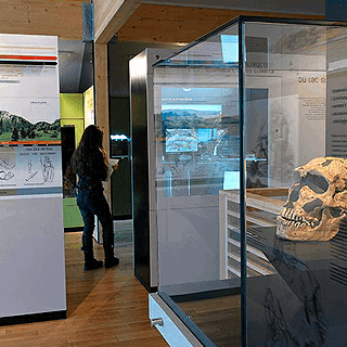 Musée préhistoire Vercors 26